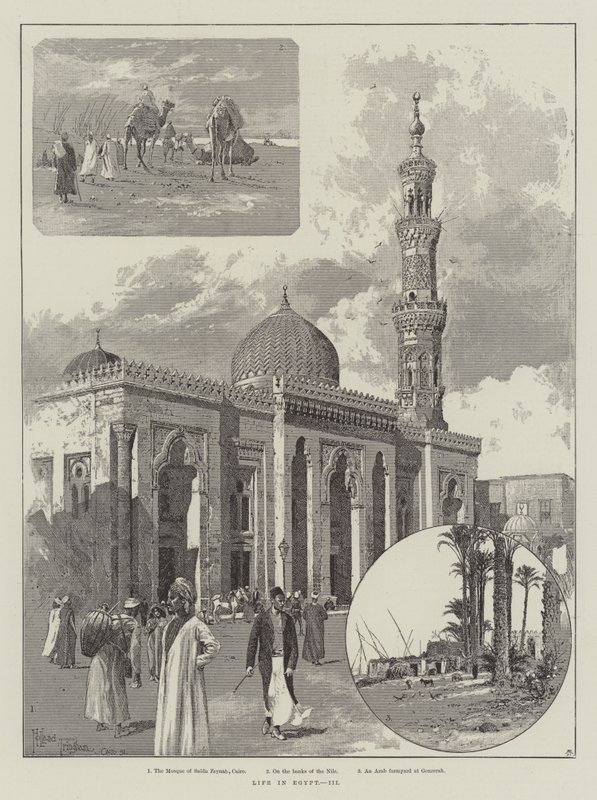 Elämä Egyptissä tekijältä Joseph Holland Tringham