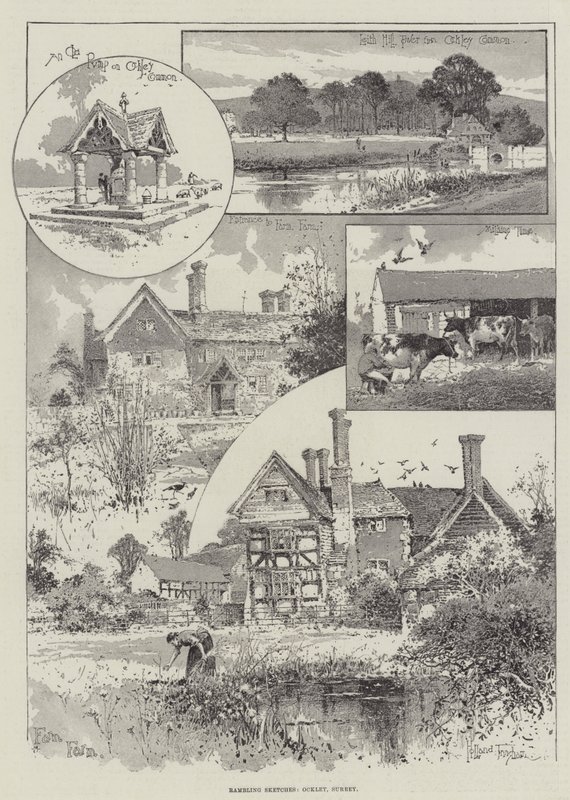 Rambling Sketches, Ockley, Surrey tekijältä Joseph Holland Tringham