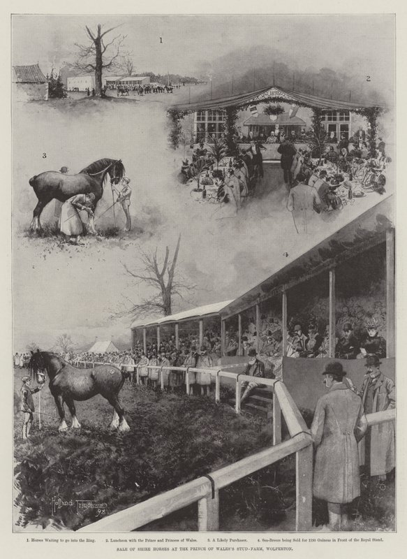 Shire-hevosten myynti Prince of Walesin hevostilalla, Wolfertonissa tekijältä Joseph Holland Tringham