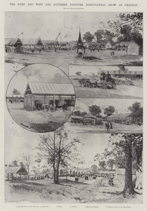 Bath ja West and Southern Countyn maatalousnäyttely Croydonissa tekijältä Joseph Holland Tringham