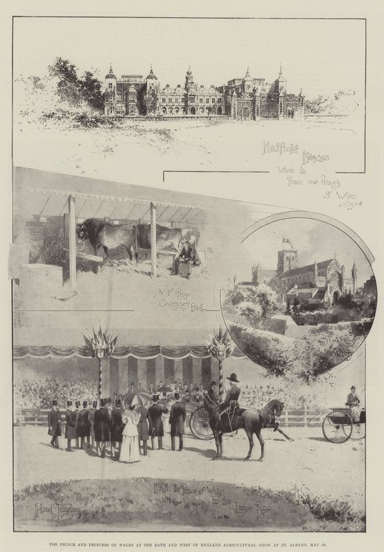 Walesin prinssi ja prinsessa Bathin ja Länsi-Englannin maatalousnäyttelyssä St Albansissa, 29. toukokuuta tekijältä Joseph Holland Tringham