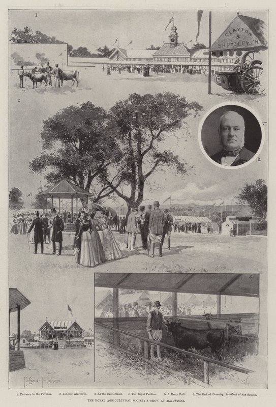 Royal Agricultural Societyn näyttely Maidstonessa tekijältä Joseph Holland Tringham