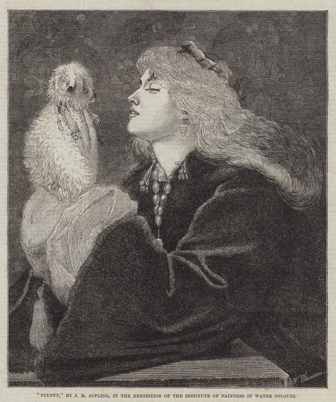 Pörröinen tekijältä Joseph Middleton Jopling