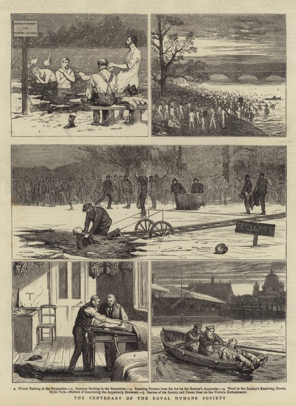 Royal Humane Societyn satavuotisjuhla tekijältä Joseph Nash