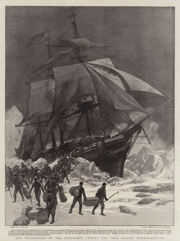 Steamship Wolfin perustaminen Fogo Islandin edustalla, Newfoundlandissa tekijältä Joseph Nash