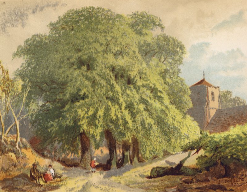 Kylänäkymä, limetsiä (värilitro) tekijältä Joseph Needham