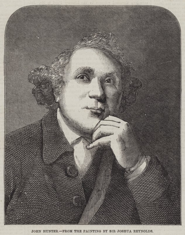 John Hunter tekijältä Joshua Reynolds