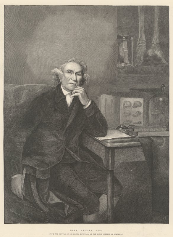 John Hunter, FRS tekijältä Joshua Reynolds