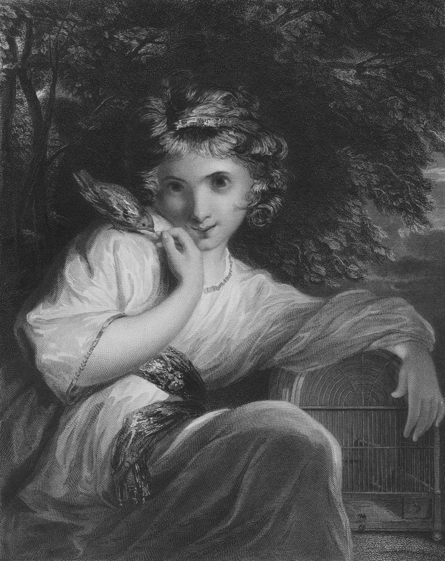Hana tekijältä Joshua Reynolds