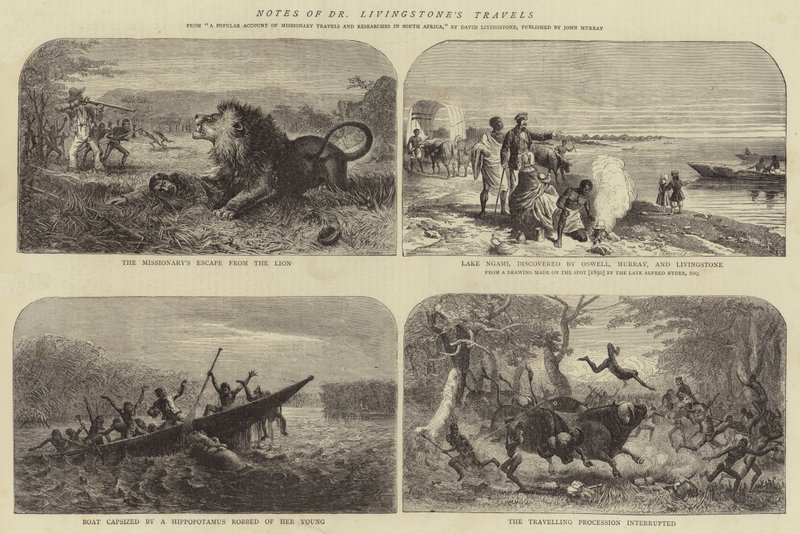 Muistiinpanot tohtori Livingstonen matkoista tekijältä Josiah Wood Whymper