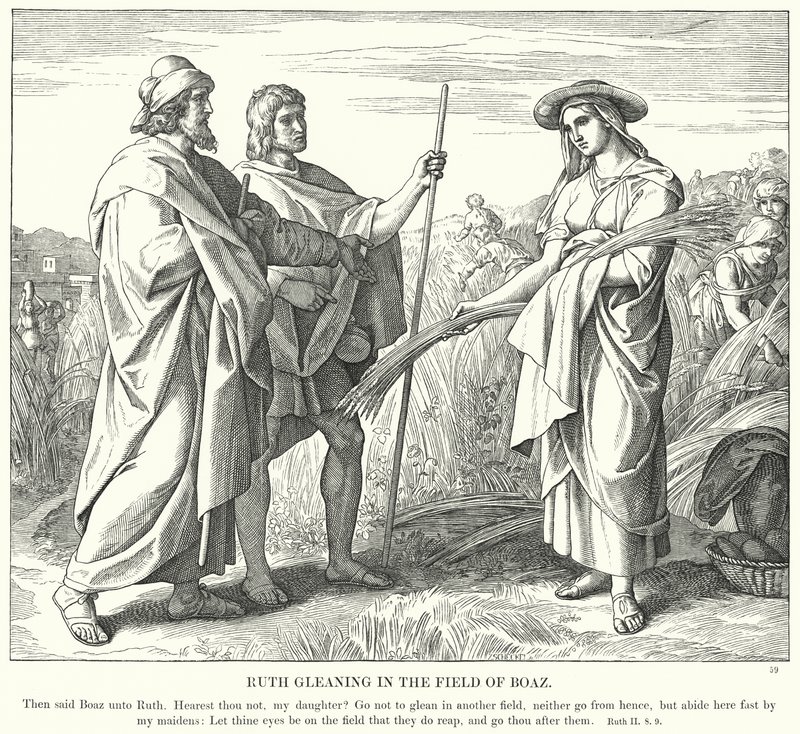 Ruth poimimassa Boasin pellolla (kaiverrus) tekijältä Julius (after) Schnorr von Carolsfeld