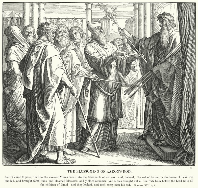 Aaronin sauvan kukinta (kaiverrus) tekijältä Julius (after) Schnorr von Carolsfeld