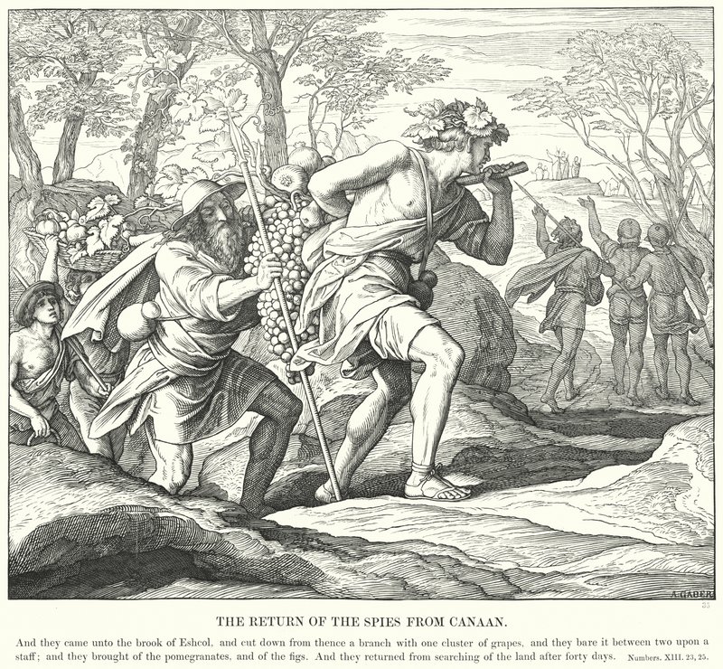 Vakoilijoiden paluu Kanaanista (kaiverrus) tekijältä Julius (after) Schnorr von Carolsfeld