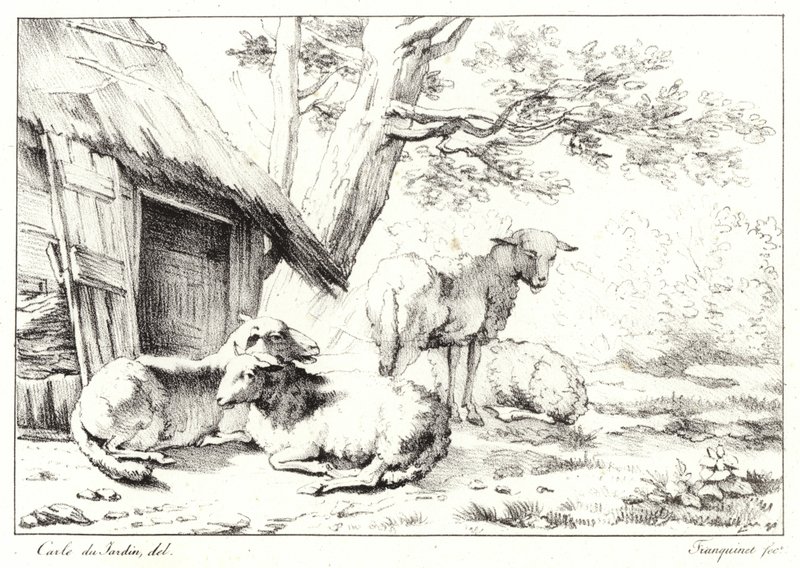 Lampaat tekijältä Karel Dujardin