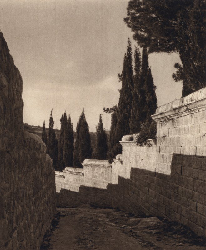 Jerusalem, Getsemanen puutarha (m/w kuva) tekijältä Karl Grober