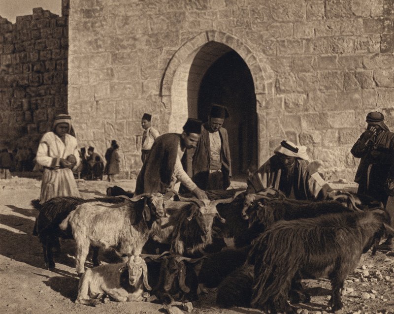 Jerusalem, markkinat Herodeksen portilla (m/v kuva) tekijältä Karl Grober