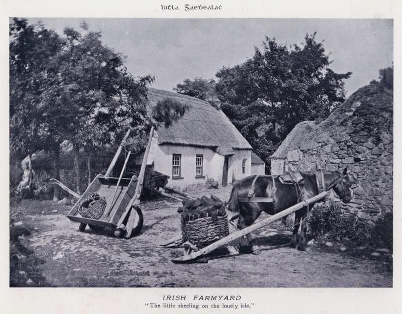 Irish Farmyard (m/w kuva) tekijältä Karl Karlovich Piratsky