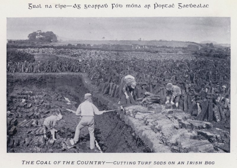 The Coal of the Country, leikkaamassa turvetta Irlannin suolla (m/w kuva) tekijältä Karl Karlovich Piratsky
