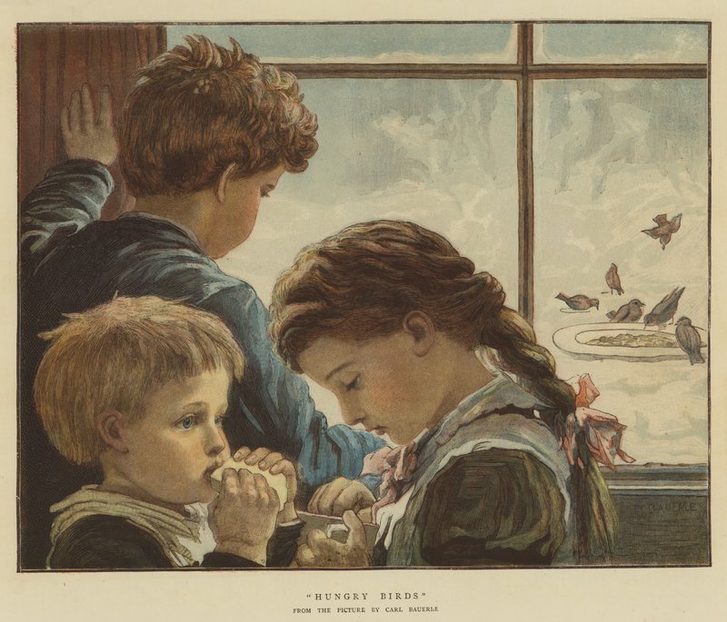 Unkarin linnut (chromolitho) tekijältä Karl Wilhelm Friedrich Bauerle