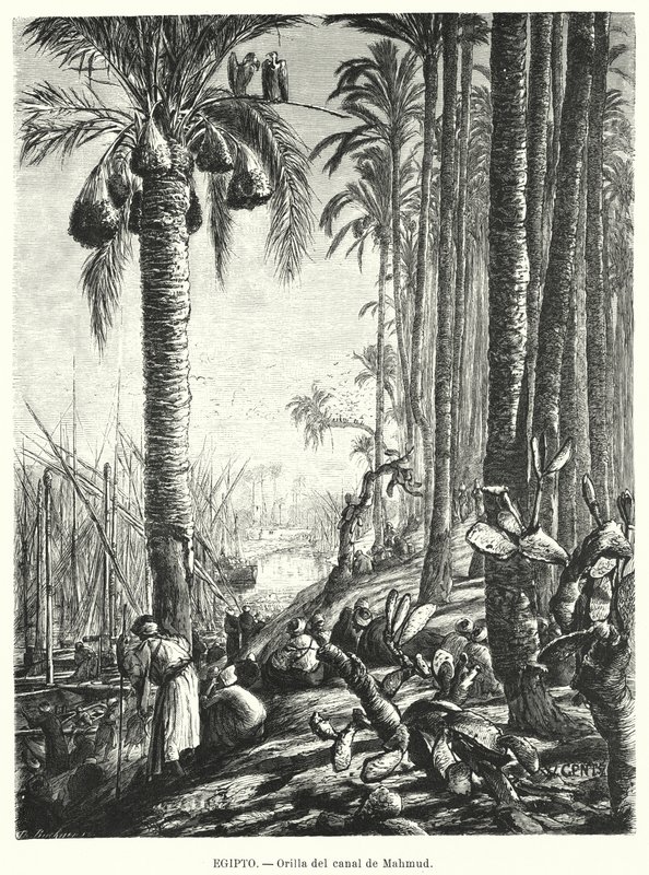 Mahmoudiyahin kanavan ranta, Egypti (litho) tekijältä Karl Wilhelm Gentz