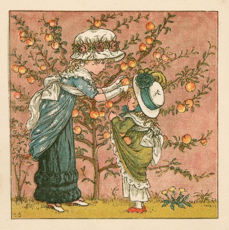 Persikoiden poimiminen tekijältä Kate Greenaway