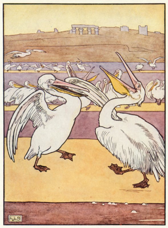 Pelikaanikuoro tekijältä Leonard Leslie Brooke