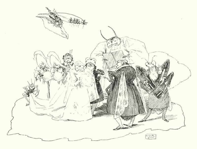Fiddle-de-dee, fiddle-de-dee (kaiverrus) tekijältä Leonard Leslie Brooke