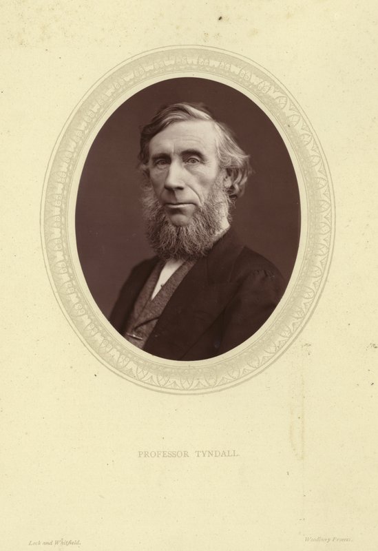 John Tyndallin muotokuva tekijältä Lock and Whitfield