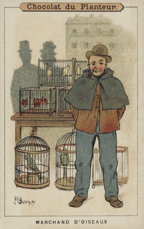 Lintukauppias (chromolitho) tekijältä Louis Borgex