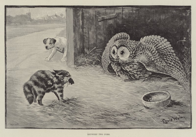 Kahden vihollisen välissä tekijältä Louis Wain