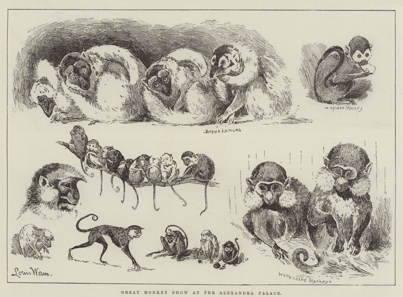 Great Monkey Show Alexandra Palacessa tekijältä Louis Wain