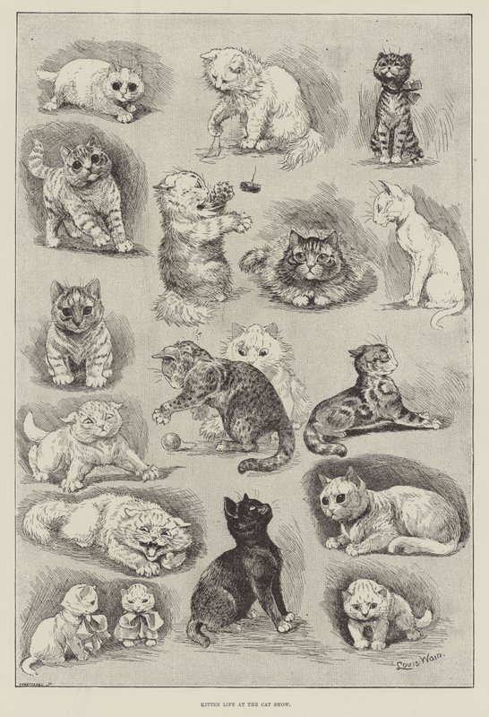 Kissanpentujen elämää kissanäyttelyssä tekijältä Louis Wain