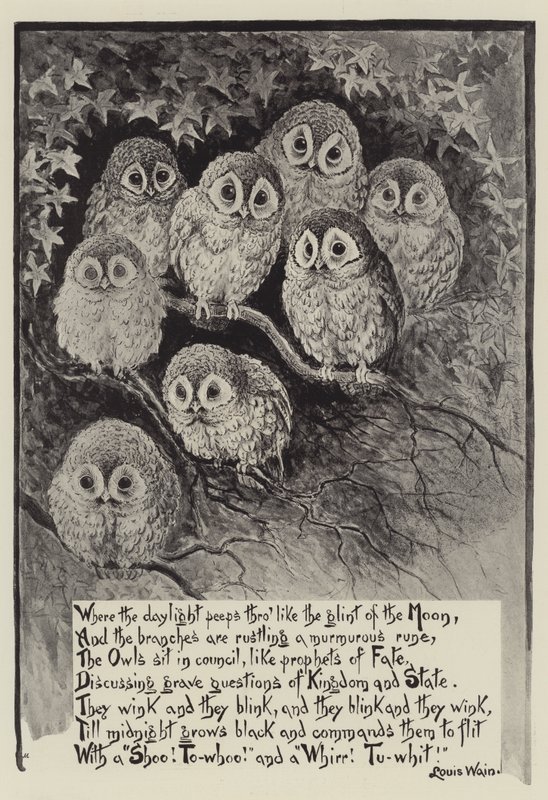 Louis Wainin pöllöt tekijältä Louis Wain