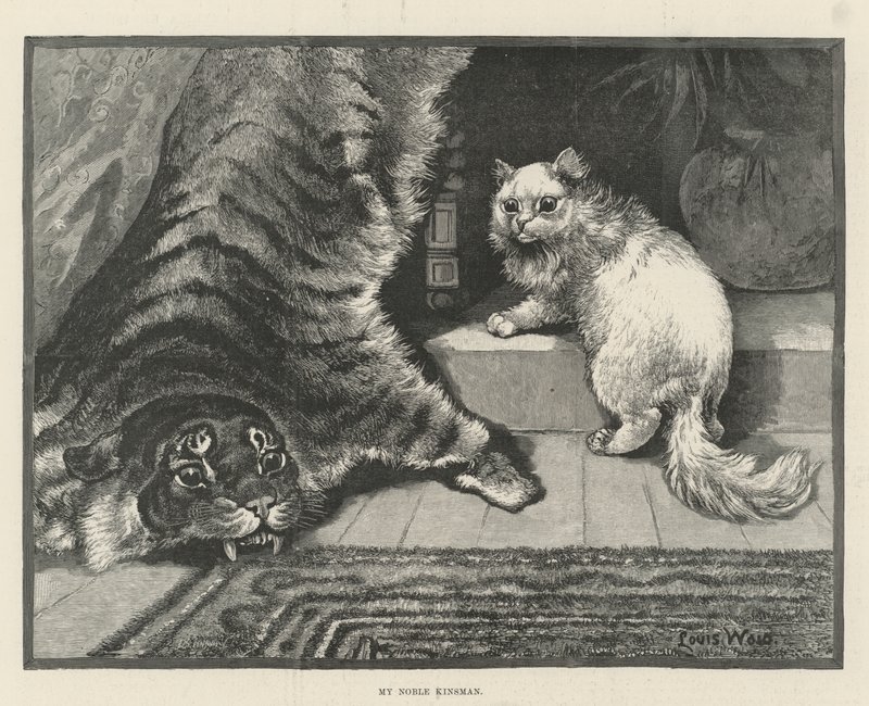 Jalo sukulaiseni tekijältä Louis Wain