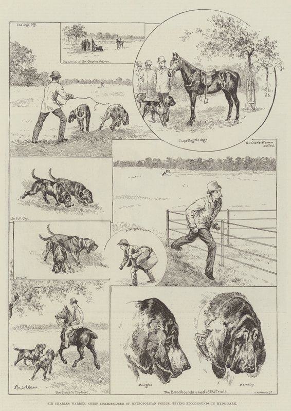 Sir Charles Warren, Metropolitan Policen päällikkö, kokeilee Bloodhounds-koiria Hyde Parkissa tekijältä Louis Wain