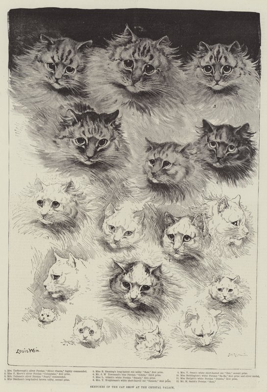 Luonnoksia Crystal Palacen kissanäyttelystä tekijältä Louis Wain