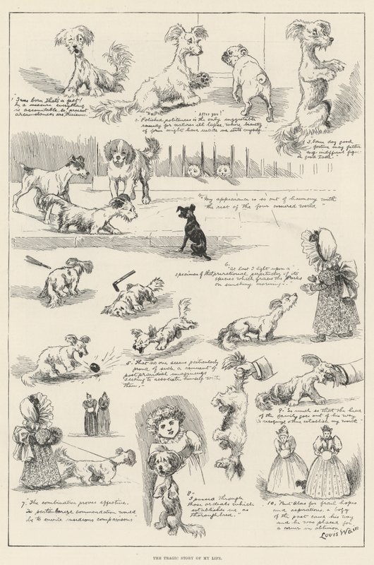 Elämäni traaginen tarina tekijältä Louis Wain