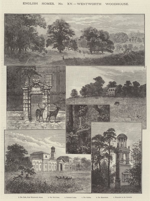 Wentworth Woodhouse tekijältä Louis Wain