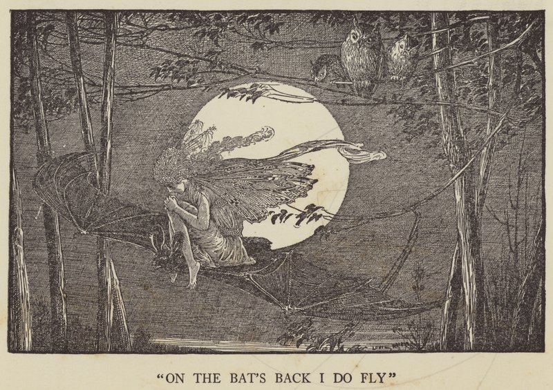 Lepakoiden selässä minä lennän tekijältä Louis John Rhead