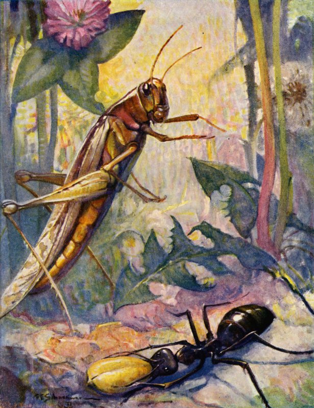 The Ant and the Grashopper (värilitografia) tekijältä Louis John Rhead