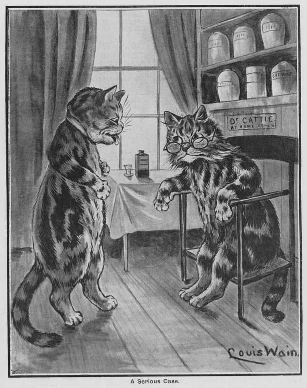 Vakava tapaus (kaiverrus) tekijältä Louis Wain