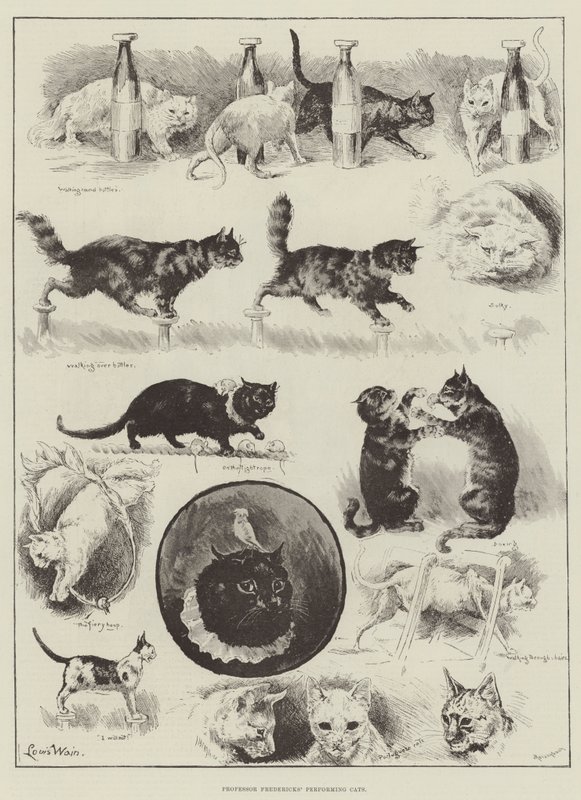 Professori Fredericksin esiintyvät kissat tekijältä Louis Wain