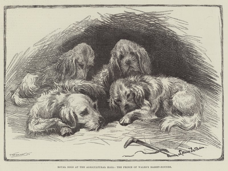 Kuninkaalliset koirat maataloushallissa, Walesin prinssin basset-koira tekijältä Louis Wain
