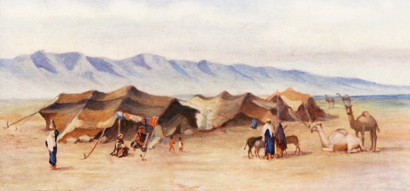 Arabien leiri Homsin ja Palmyran välissä (värilitro). tekijältä Margaret Thomas