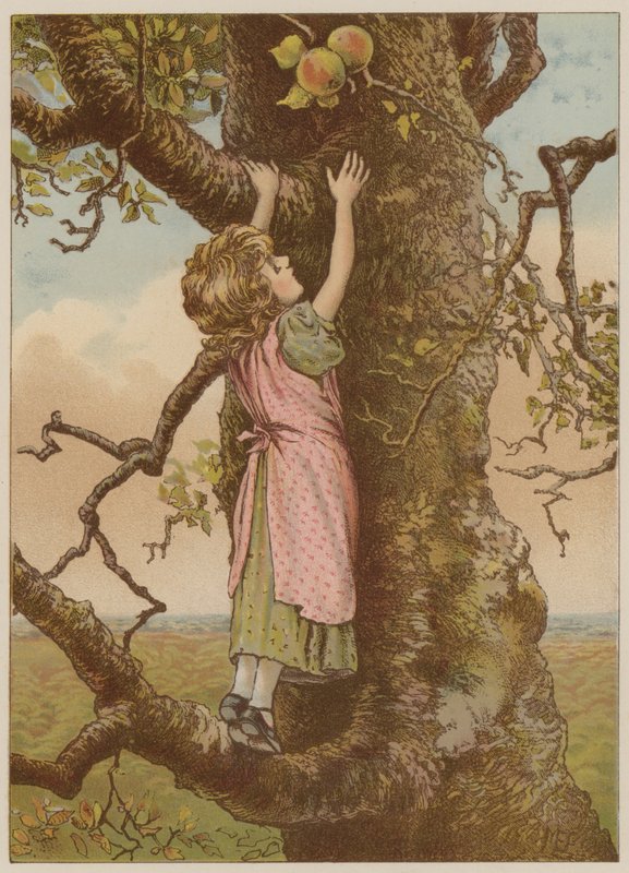 Tyttö kiipeilee viimeisten omenoiden takia (chromolitho) tekijältä Mary Ellen Edwards