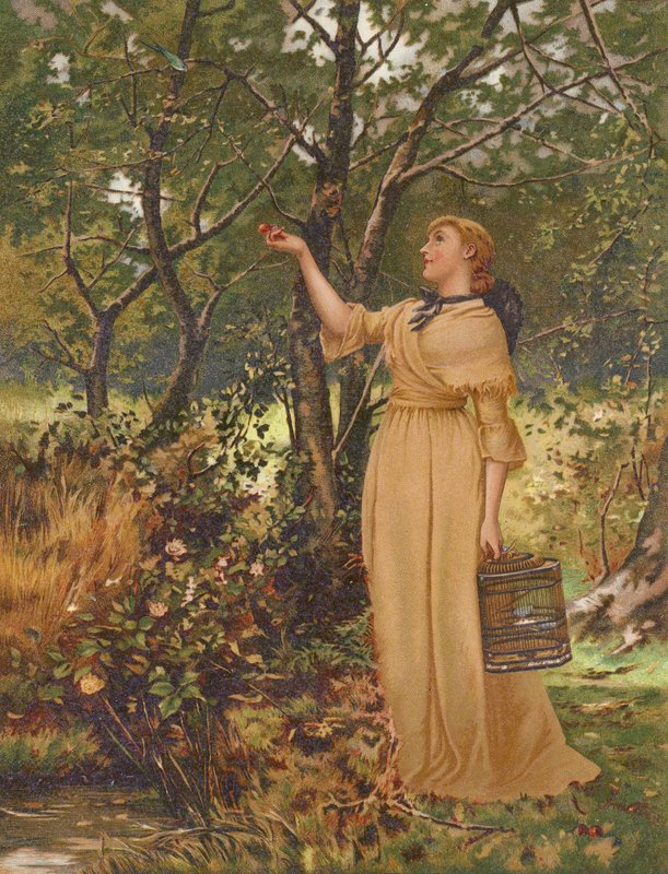 Koulupoika (chromolitho) tekijältä Mary Ellen Edwards