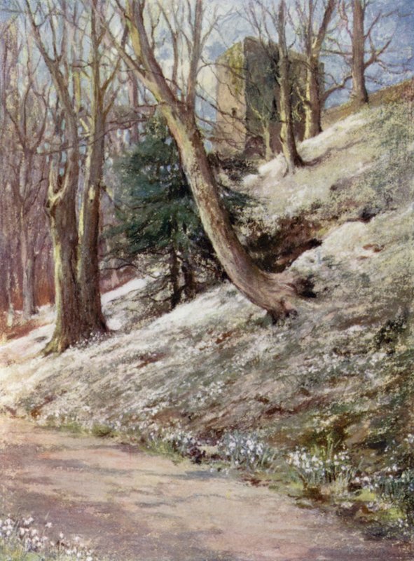 Scottish Gardens: Ardgowan (väri litho) tekijältä Mary Georgina Wade Wilson