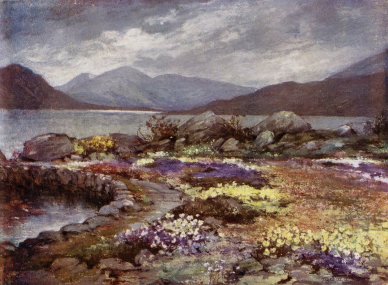 Scottish Gardens: Corrour (väri litho) tekijältä Mary Georgina Wade Wilson