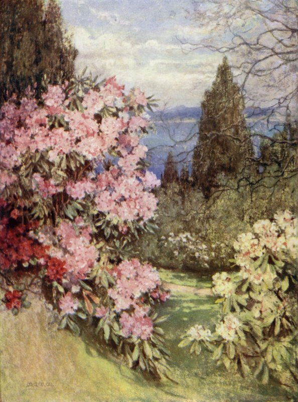 Scottish Gardens: Stonefield tekijältä Mary Georgina Wade Wilson