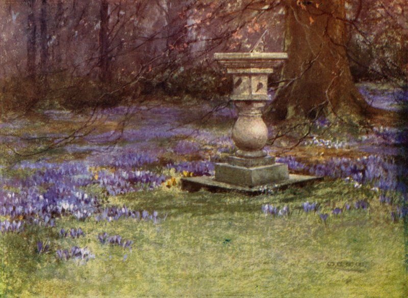 Scottish Gardens: Whitehouse (väri litho) tekijältä Mary Georgina Wade Wilson